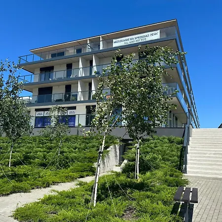 Blueberry And Apartment