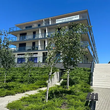 Blueberry And Apartment