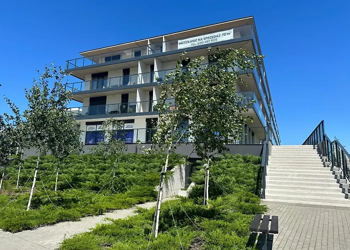 Blueberry And Apartment